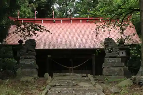 菅布禰神社の狛犬