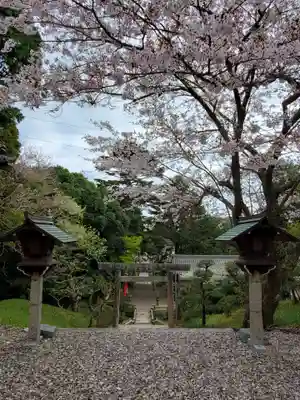 百々神社の鳥居