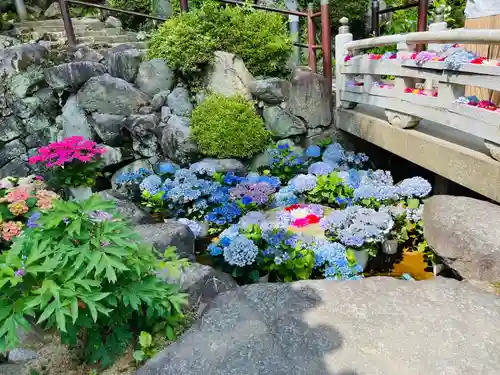 岡寺（龍蓋寺）(奈良県)