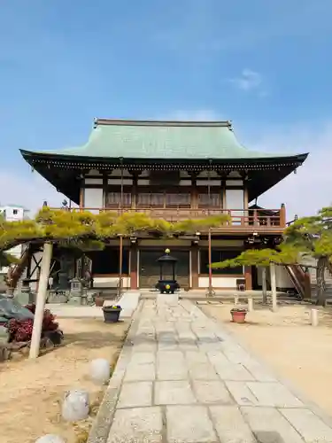 善楽寺の本殿・本堂