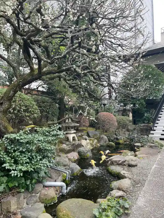 正念寺の{uncategorized: "未分類", other: "その他", undefined: "問題あり", building: "その他建物", grave: "お墓", sacred_gate: "鳥居", guardian: "狛犬", statue: "像", buddha: "仏像", history: "歴史", nature: "自然", garden: "庭園", animal: "動物", pagoda: "塔", temizu: "手水舎", mountain_gate: "山門・神門", sanctuary: "本殿・本堂", subordinate: "末社・摂社", art: "芸術", scenery: "景色", jizo: "地蔵", ema: "絵馬", goshuin: "御朱印", omikuji: "おみくじ", items: "授与品その他", amulet: "お守り", goshuincho: "御朱印帳", eats: "食事", festival: "お祭り", votive_dance: "神楽", shichigosan: "七五三参", wedding: "結婚式", experience: "体験その他", initially: "初詣", around: "周辺", anti_infection: "感染症対策"}