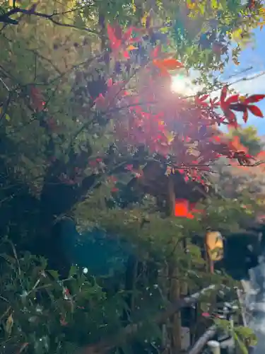貴船神社奥宮(京都府)