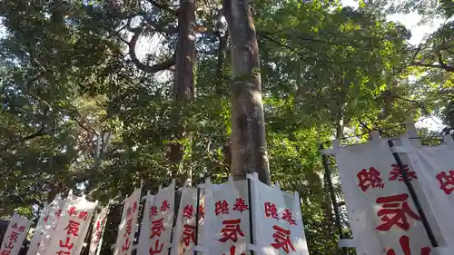 天神神社の自然