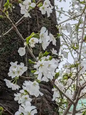くまくま神社(導きの社 熊野町熊野神社)(東京都)