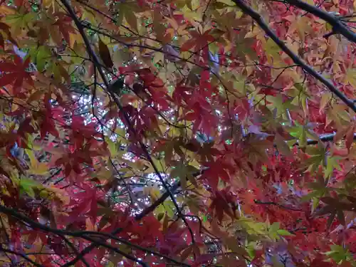 阿邪訶根神社(福島県)