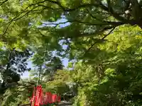 普門寺(切り絵御朱印発祥の寺)のその他建物