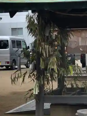 舞子六神社／まいこむの宮のお祭り