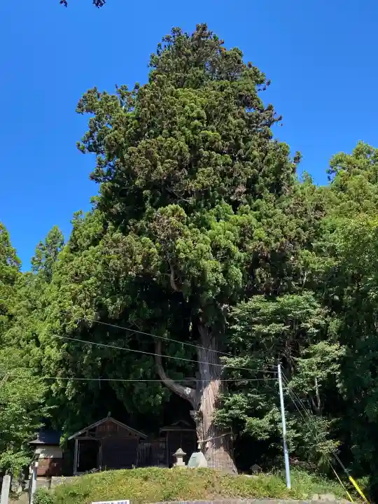 配志和神社(岩手県)