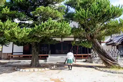 普明院の本殿・本堂