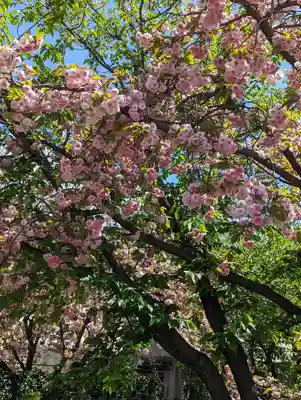 六孫王神社(京都府)