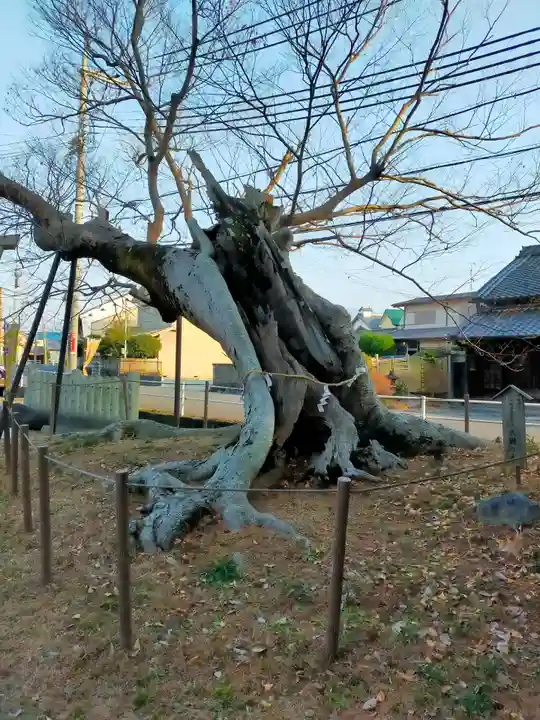 三輪神社(奈良県)