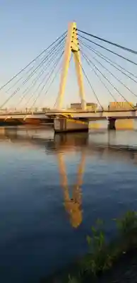 青龍神社の周辺