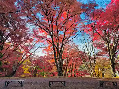 土津神社｜こどもと出世の神さま(福島県)
