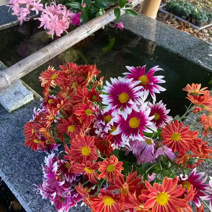 高司神社〜むすびの神の鎮まる社〜(福島県)