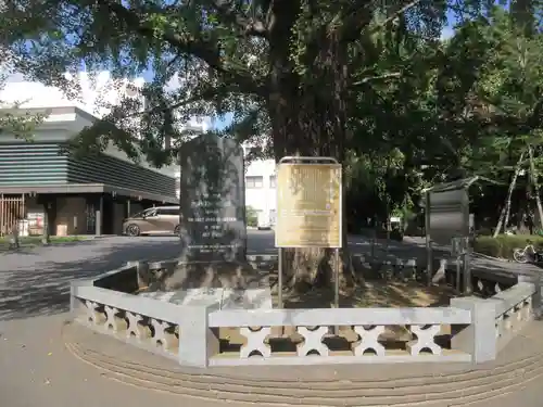 善福寺(東京都)