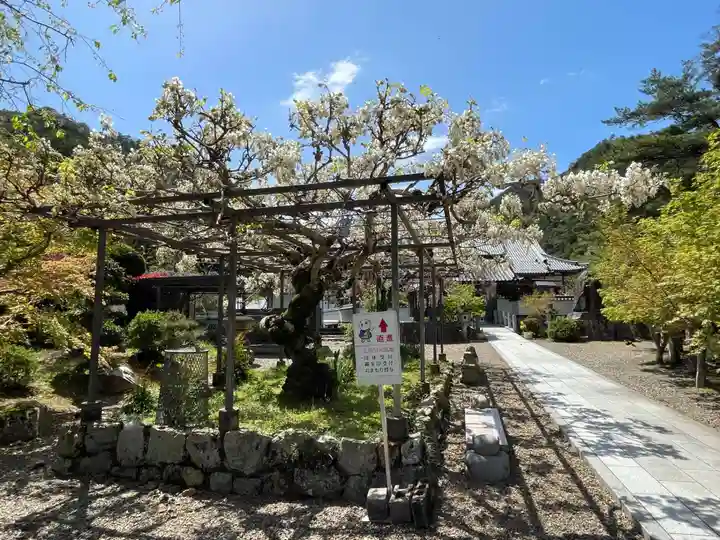 天台宗 五大山 白毫寺(兵庫県)