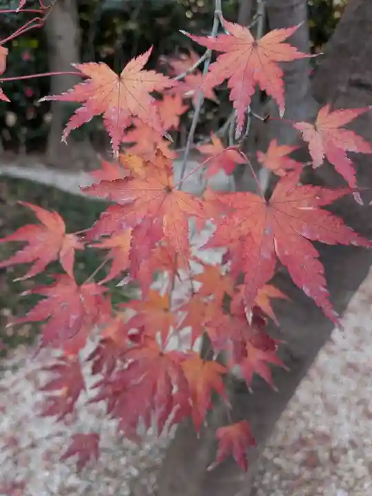 高円寺(東京都)