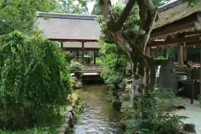 賀茂別雷神社（上賀茂神社）(京都府)