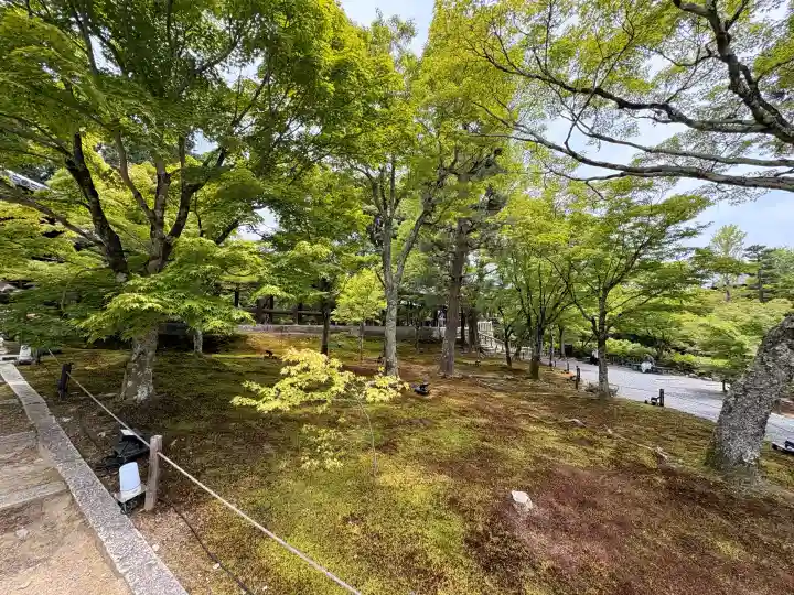 東福禅寺(東福寺)(京都府)