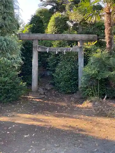 氷川神社の鳥居