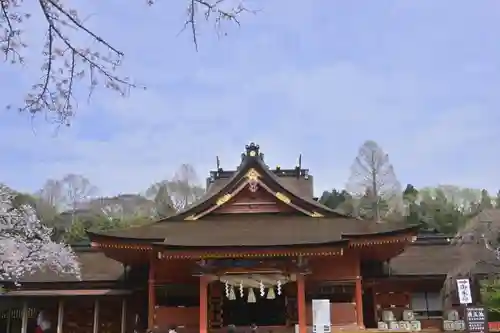 富士山本宮浅間大社(静岡県)