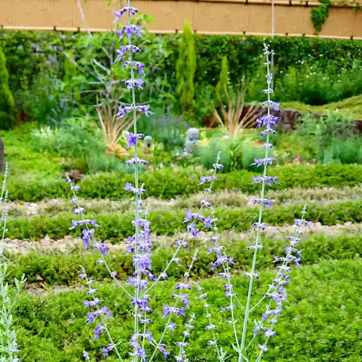 寿量山 速成寺の周辺