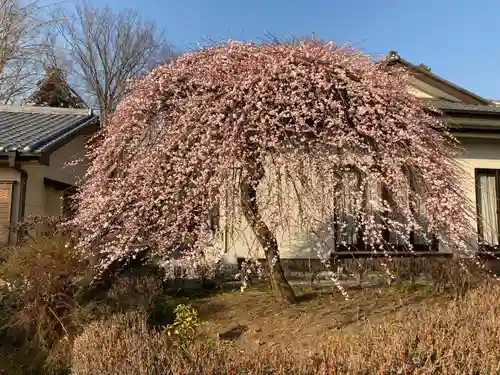 朝日森天満宮の庭園