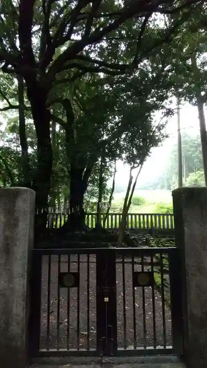 山宮浅間神社のその他建物