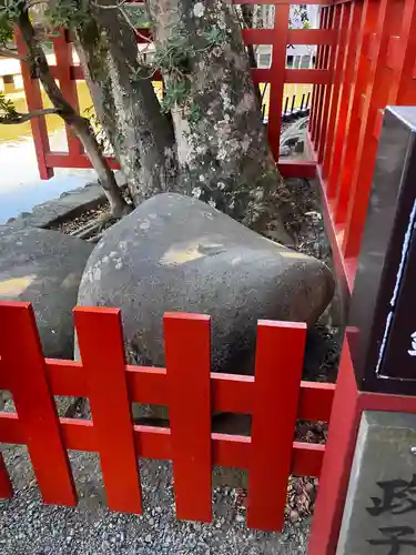 鶴岡八幡宮の自然