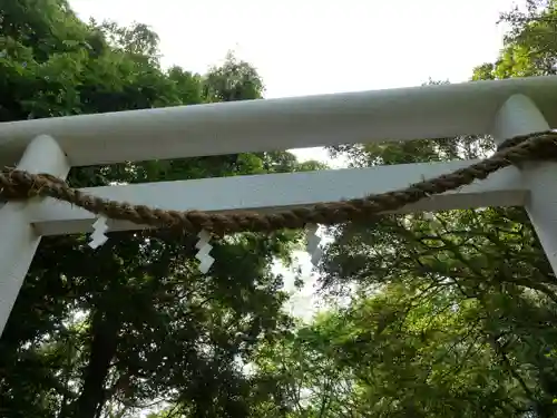 下立松原神社の鳥居