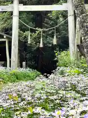 修那羅山安宮神社(長野県)