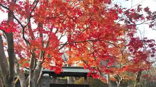 常照寺の庭園