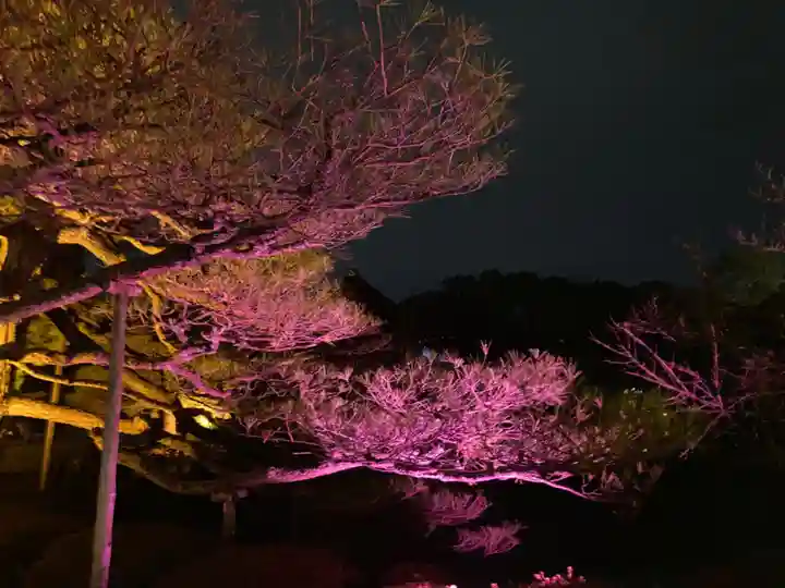 平安神宮(京都府)