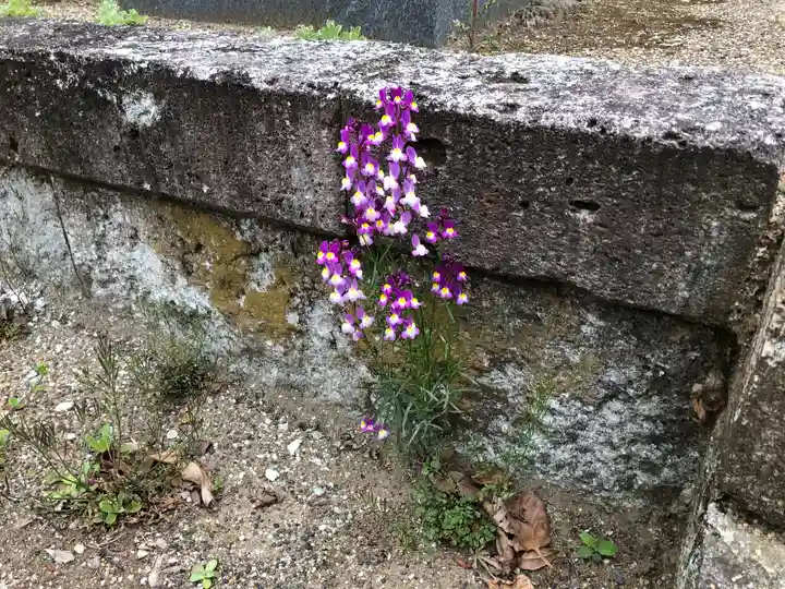 玉姫稲荷大明神のその他建物