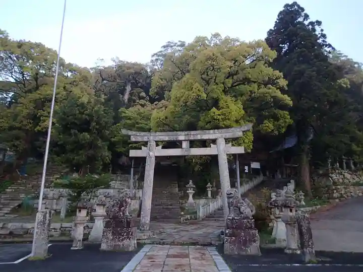 厳原八幡宮神社の鳥居