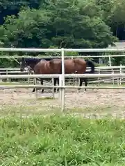 若都王子神社の動物