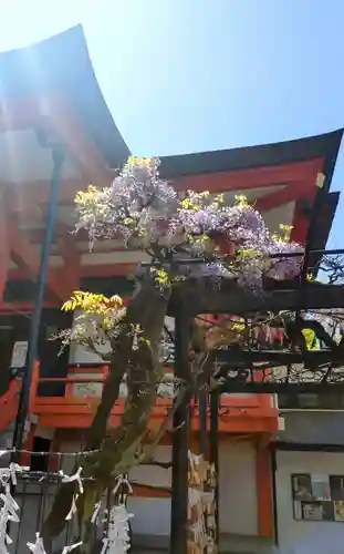 善國寺(東京都)