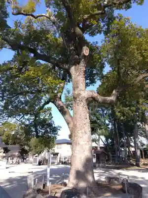 久居八幡宮（野邊野神社）(三重県)