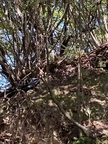 宇佐八幡宮の{uncategorized: "未分類", other: "その他", undefined: "問題あり", building: "その他建物", grave: "お墓", sacred_gate: "鳥居", guardian: "狛犬", statue: "像", buddha: "仏像", history: "歴史", nature: "自然", garden: "庭園", animal: "動物", pagoda: "塔", temizu: "手水舎", mountain_gate: "山門・神門", sanctuary: "本殿・本堂", subordinate: "末社・摂社", art: "芸術", scenery: "景色", jizo: "地蔵", ema: "絵馬", goshuin: "御朱印", omikuji: "おみくじ", items: "授与品その他", amulet: "お守り", goshuincho: "御朱印帳", eats: "食事", festival: "お祭り", votive_dance: "神楽", shichigosan: "七五三参", wedding: "結婚式", experience: "体験その他", initially: "初詣", around: "周辺", anti_infection: "感染症対策"}