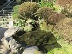 報国寺の庭園