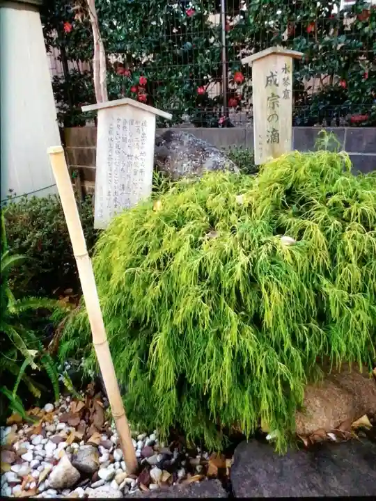 須賀神社(東京都)