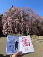 眞田神社の御朱印