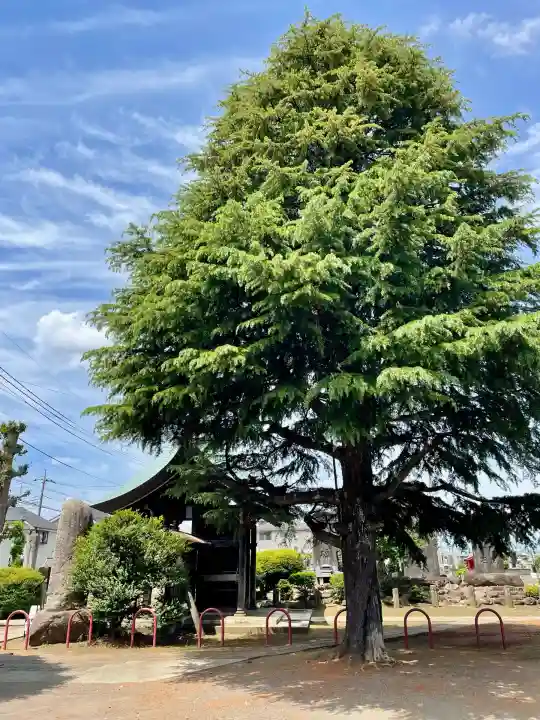 八坂神社(東京都)