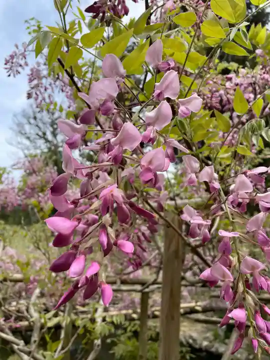歌泉堂(春日大社神苑萬葉植物園内鎮座)(奈良県)
