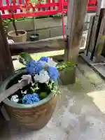 浅野川神社(石川県)