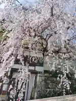 長谷寺の{uncategorized: "未分類", other: "その他", undefined: "問題あり", building: "その他建物", grave: "お墓", sacred_gate: "鳥居", guardian: "狛犬", statue: "像", buddha: "仏像", history: "歴史", nature: "自然", garden: "庭園", animal: "動物", pagoda: "塔", temizu: "手水舎", mountain_gate: "山門・神門", sanctuary: "本殿・本堂", subordinate: "末社・摂社", art: "芸術", scenery: "景色", jizo: "地蔵", ema: "絵馬", goshuin: "御朱印", omikuji: "おみくじ", items: "授与品その他", amulet: "お守り", goshuincho: "御朱印帳", eats: "食事", festival: "お祭り", votive_dance: "神楽", shichigosan: "七五三参", wedding: "結婚式", experience: "体験その他", initially: "初詣", around: "周辺", anti_infection: "感染症対策"}