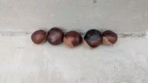 上更別神社の自然