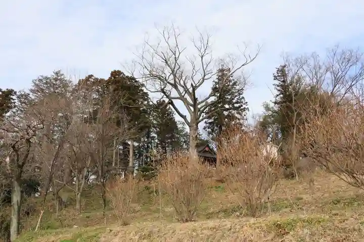 阿久津「田村神社」(郡山市阿久津町)旧社名:伊豆箱根三嶋三社の景色