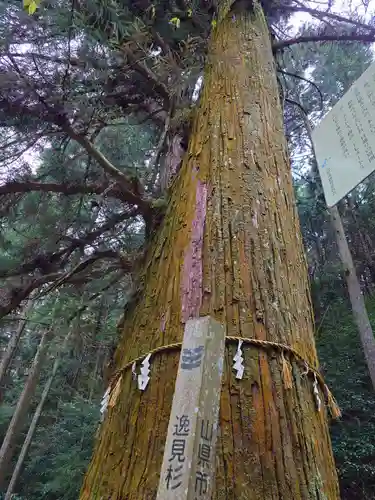 十五社神社(岐阜県)
