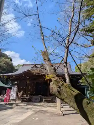 渋谷氷川神社(東京都)